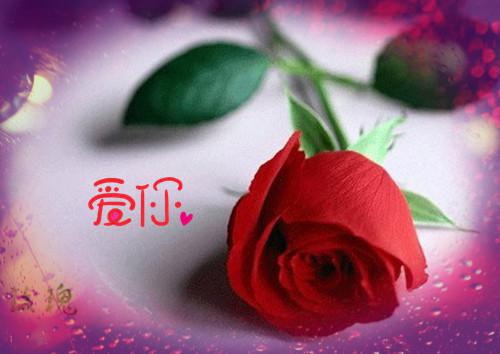 姜今柒陆忱（姜今柒陆忱）全文免费阅读无弹窗大结局_姜今柒陆忱小说最新章节列表_笔趣阁（姜今柒陆忱）