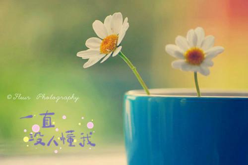 夏南乔陆奕珩顾锦阳全文免费阅读（最初青梅恋竹马：大结局+后续小说）全文免费夏南乔陆奕珩顾锦阳阅读无弹窗大结局_夏南乔陆奕珩顾锦阳全文免费夏南乔陆奕珩顾锦阳阅读（最初青梅恋竹马：大结局+后续小说）最新章节列表_笔趣阁（夏南乔陆奕珩顾锦阳）