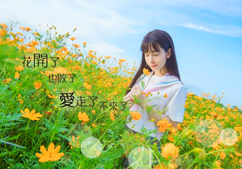 于星垂月涌分离小说全文免费阅读(楚萧笙沈南枝）小说全文免费楚萧笙沈南枝读无弹窗大结局_（楚萧笙沈南枝）于星垂月涌分离小说小说全文免费楚萧笙沈南枝读最新章节列表笔趣阁（楚萧笙沈南枝）