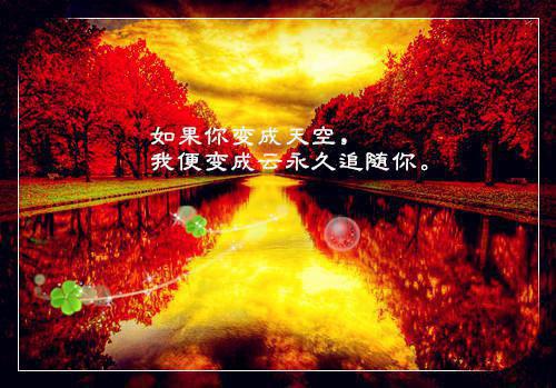 病娇大佬:宠妻无法无天小说全文免费阅读_病娇大佬:宠妻无法无天全文阅读（夏漓鸽容焱）最新章节列表笔趣阁（夏漓鸽容焱）