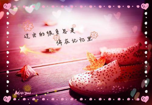 莫如笙周谨沉全文小说（莫如笙周谨沉）全文阅读-莫如笙周谨沉在线小说免费阅读