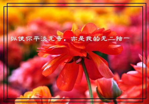 王妃美貌她还凶姜云卿君璟墨小说_王妃美貌她还凶完结版阅读