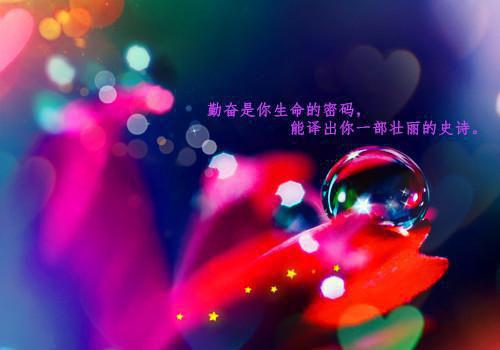 陆梦琪宋璟淮（陆梦琪宋璟淮）全文免费阅读无弹窗大结局_(陆梦琪宋璟淮后续大结局)陆梦琪宋璟淮最新章节列表_笔趣阁（陆梦琪宋璟淮）