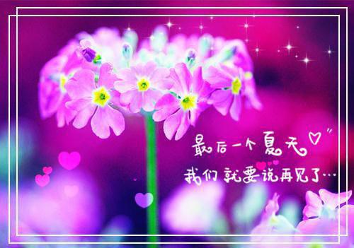 薛微傅琛（薛微傅琛）全文免费阅读无弹窗大结局_薛微傅琛小说免费最新章节列表_笔趣阁（薛微傅琛）