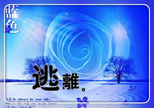舒意蓝林以轩虐渣文(林以轩舒意蓝)舒意蓝林以轩_舒意蓝林以轩免费阅读