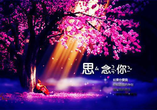 叶南星阮京州小说（阮京州叶南星）全文免费阅读无弹窗大结局_叶南星阮京州小说免费阅读_笔趣阁（阮京州叶南星小说）