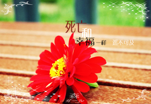 宋暮烟沈玦（宋暮烟沈玦）全文免费阅读无弹窗大结局_(宋暮烟沈玦)宋暮烟沈玦免费阅读无弹窗最新章节列表_笔趣阁（宋暮烟沈玦）