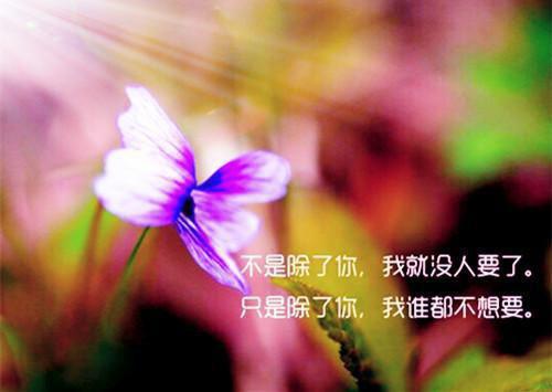 傅烬如萧丛南小说全文（昨夜灯暖）全文免费阅读无弹窗大结局-（昨夜灯暖）无弹窗免费阅读大结局