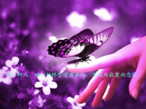 宋知慧沈君桦全文免费阅读(重生七零团长追妻路迢迢小说)全文免费阅读无弹窗大结局_重生七零团长追妻路迢迢小说宋知慧沈君桦全文免费阅读最新章节列表_笔趣阁（重生七零团长追妻路迢迢小说）