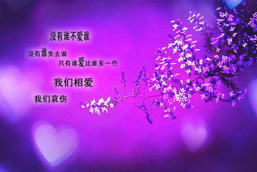 紫桃可爱:加糖贴子全文免费阅读（陆辞景浅）小说全文免费阅读无弹窗_（紫桃可爱:加糖贴子）小说全文免费阅读最新章节列表笔趣阁（陆辞景浅）