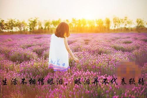宁芸梦徐少淮新书热荐免费小说徐少淮宁芸梦全文完整版-徐少淮宁芸梦小说全文无删减版免费阅读