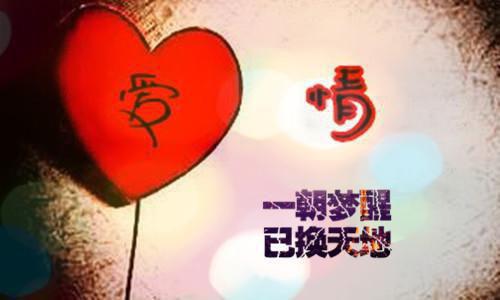 沈风华夏月兮小说（夏月兮沈风华）全文免费阅读无弹窗大结局_沈风华夏月兮小说免费阅读最新章节列表笔趣阁（夏月兮沈风华）