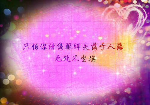 宋清鸢陆华宴陆华宴宋清鸢完结版全章节阅读
