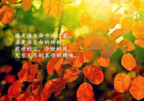 战北寒的小说全文免费阅读无弹窗(战北寒萧令月)全文免费阅读无弹窗_ (战北寒)最新章节列表_笔趣阁（战北寒萧令月）