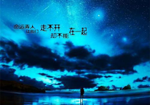 沈陈舟姜淼淼小说（沈陈舟姜淼淼）全文免费阅读_（沈陈舟姜淼淼）沈陈舟姜淼淼小说最新章节列表
