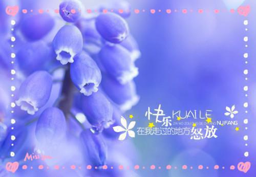 萧彧珩阮凝歌小说章节目录+序章（萧彧珩阮凝歌）全书畅享在线