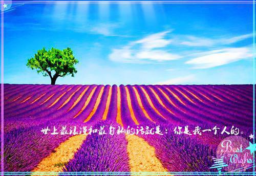 生命最后三年，高冷总裁妻子疯狂报复我！小说全文/全集/电子书/大结局（生命最后三年，高冷总裁妻子疯狂报复我！）蒋琬晏隋勒然阅读-耽美微蒋琬晏隋勒然