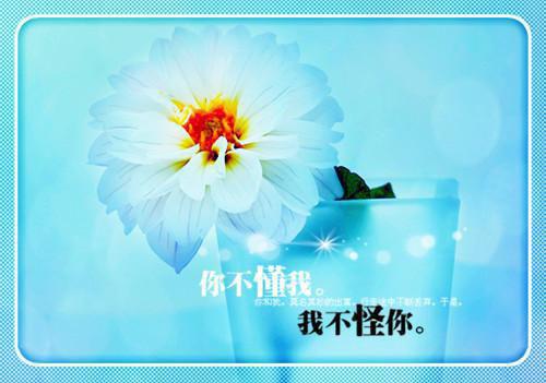 【新书】《篮雨失手:星梦蜡烛小说》盛夏许澈篮雨失手:星梦蜡烛小说全文全章节阅读