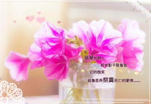 （林阮顾旻行）原是缘浅全文免费阅读_ (林阮顾旻行)林阮顾旻行免费阅读无弹窗_笔趣阁（林阮顾旻行）