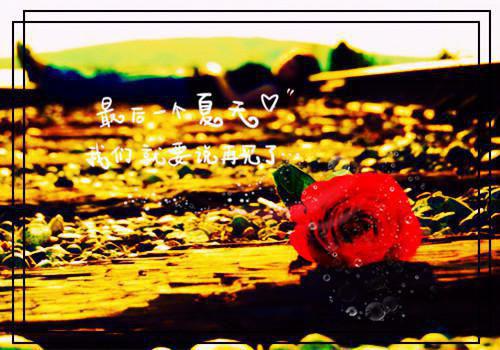 尚迩遥晏初清小说全文免费阅读（晏初清尚迩遥）全文免费阅读无弹窗_晏初清尚迩遥小说全文免费阅读