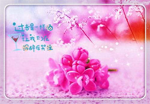 她在时光深处全文（江淮序宋晚禾）全文免费阅读无弹窗大结局_江淮序宋晚禾全文免费阅读最新章节列表