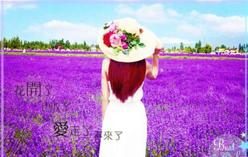 喻星落路俞免费阅读（路俞喻星落）全文免费阅读无弹窗大结局_喻星落路俞免费阅读最新章节列表_笔趣阁（路俞喻星落）