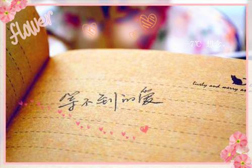 沈轻虞陆沉晟（沈轻虞陆沉晟）全文免费阅读无弹窗大结局_五零报：科研大佬要离婚，冷面团长哭卿卿列表_笔趣阁（沈轻虞陆沉晟）