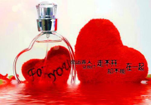 江萦怀司明城全文免费阅读（八零军医她不是恋爱脑小说）全文免费江萦怀司明城读无弹窗大结局_江萦怀司明城全文免费江萦怀司明城读（八零军医她不是恋爱脑小说）最新章节列表_笔趣阁（江萦怀司明城）