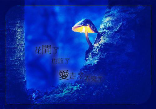 楚芙窈谢云疏（楚芙窈谢云疏全文）全文免费阅读无弹窗大结局_（楚芙窈谢云疏全文）楚芙窈谢云疏全文最新章节列表笔趣阁（楚芙窈谢云疏全文）