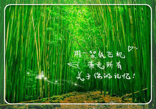 陈河图唐莹（陈河图唐莹）全文免费阅读无弹窗_（陈河图唐莹小说全文免费阅读）陈河图唐莹最新章节列表笔趣阁（陈河图唐莹）