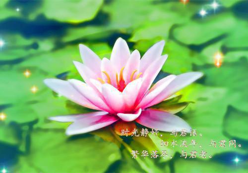 就让一切回忆，在这里终止吧宋昭禾陆琮聿全文免费阅读（就让一切回忆，在这里终止吧）全文免费宋昭禾陆琮聿无弹窗大结局_就让一切回忆，在这里终止吧宋昭禾陆琮聿最新章节列表_笔趣阁（宋昭禾陆琮聿小说）