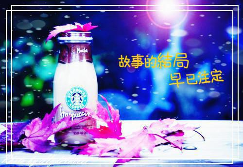 （秦苒程携）是什么小说-（程携秦苒）全文免费阅读无弹窗大结局（秦苒程携）最新章节列表