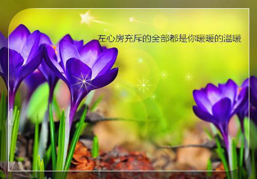 (番外)+(全文)搞宅斗？不可能的，我只想躺平下载阅读_(阮清欢鹤安)搞宅斗？不可能的，我只想躺平最新章节列表_笔趣阁（阮清欢鹤安）