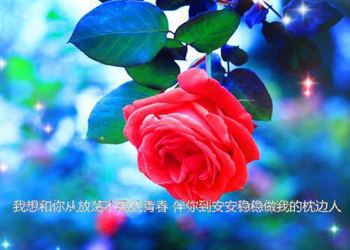 叶浅秦枫小说（叶浅秦枫）全文免费阅读无弹窗大结局_叶浅秦枫小说免费阅读最新章节列表_笔趣阁（叶浅秦枫）