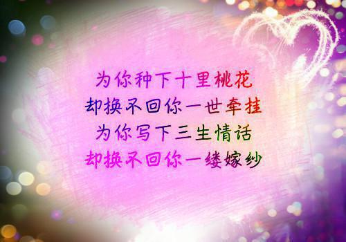 段以玫谢星舒免费全文阅读 段以玫章节阅读