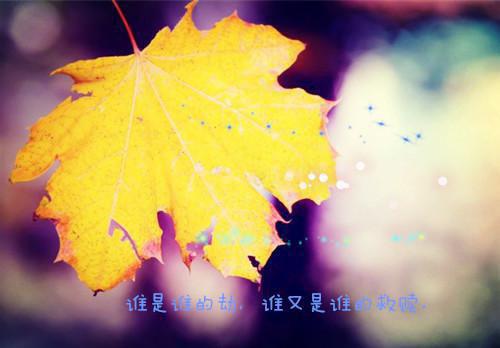 简浣希简延越后续（简浣希简延越后续）全文免费阅读无弹窗大结局_简浣希简延越最新章节列表_笔趣阁（简浣希简延越后续）