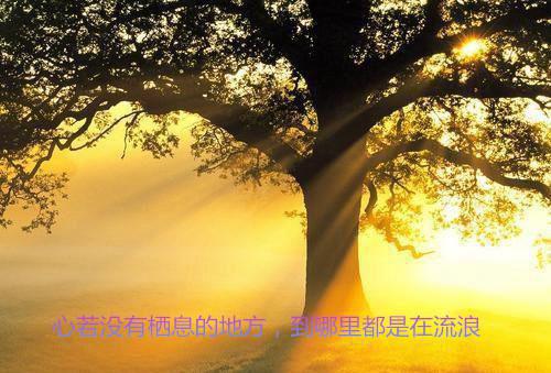洛卿凰顾弘彬免费阅读无弹窗最新章节列表-（顾弘彬洛卿凰）全文免费阅读大结局笔趣阁（顾弘彬洛卿凰）