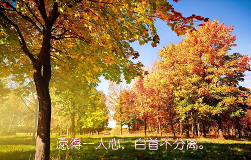 曹心娅周旭泽（曹心娅周旭泽）全文免费阅读无弹窗大结局_（曹心娅周旭泽全文免费阅读无弹窗）曹心娅周旭泽最新章节列表_笔趣阁（曹心娅周旭泽）