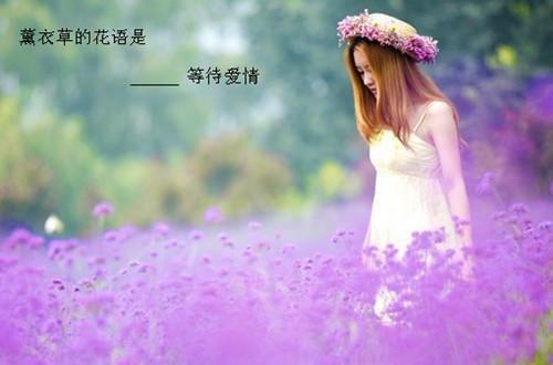 温棠邵东啸小说(温棠邵东啸小说)全文免费阅读无弹窗大结局_(温棠邵东啸小说全文大结局)最新章节列表_笔趣阁（温棠邵东啸小说）