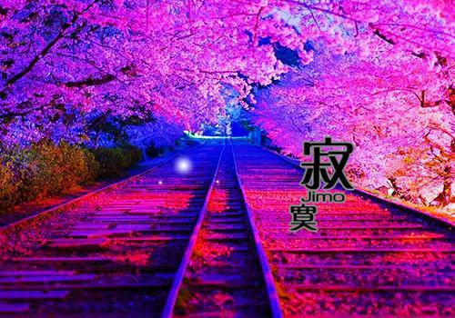 你在我对岸:在彼岸的你全文免费夏添季斯琰无弹窗大结局_（你在我对岸:在彼岸的你）你在我对岸:在彼岸的你最新章节列表笔趣阁（夏添季斯琰）