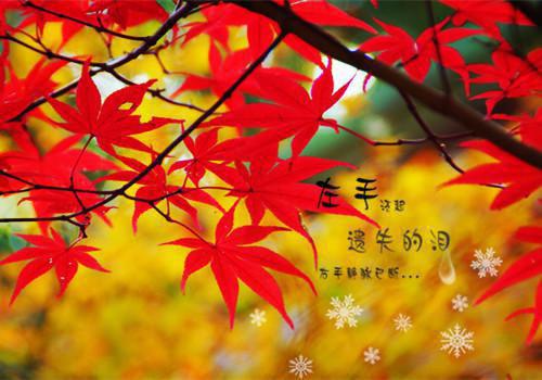 失忆后我拒做舔狗老婆求我别离婚：陈乾大结局（陈乾苏雪）全文在线阅读无弹窗大结局_（失忆后我拒做舔狗老婆求我别离婚：陈乾大结局在线阅读无弹窗）失忆后我拒做舔狗老婆求我别离婚：陈乾大结局最新章节列表_笔趣阁（陈乾苏雪）