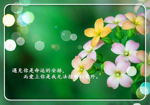 陆枭礼沈挽棠热推（沈挽棠陆枭礼）完整版小说阅读_陆枭礼沈挽棠全文免费阅读笔趣阁（沈挽棠陆枭礼）