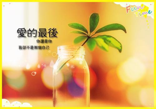 兰擎（豪门首席的心尖宠儿）全文免费阅读无弹窗完整版，（兰擎）免费阅读全文最新章节列表_笔趣阁