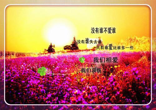 我死后妻子把仿生机器人当成我完结文（姜幼夏沈景泽）全文免费阅读无弹窗大结局_（姜幼夏沈景泽）姜幼夏沈景泽最新章节列表_笔趣阁（姜幼夏沈景泽）