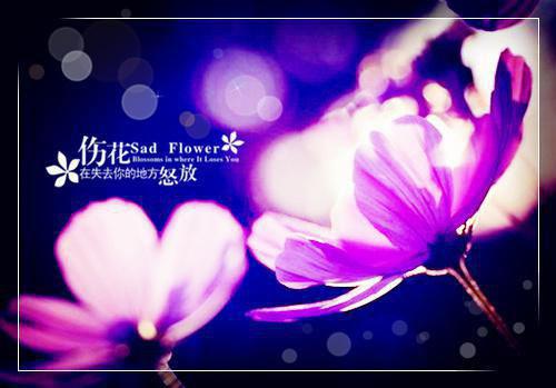 （热推新书）《与卿相两安》夜澜雨沈卿尘 热推夜澜雨沈卿尘无弹窗阅读与卿相两安在线阅读