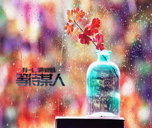 【热门】《病弱王爷的替嫁妻又横又抠》书名是苏落落萧行渊全文免费阅读已完结