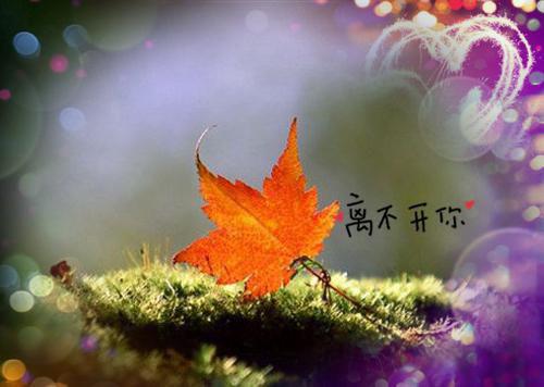祝清歌晏庭小说（祝清歌晏庭小说）全文免费阅读无弹窗大结局_祝清歌晏庭最新章节列表_笔趣阁（祝清歌晏庭小说）