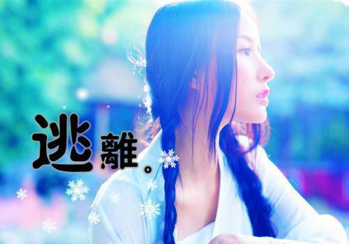 谢听云赵景川免费阅读赵景川谢听云最新章节目录