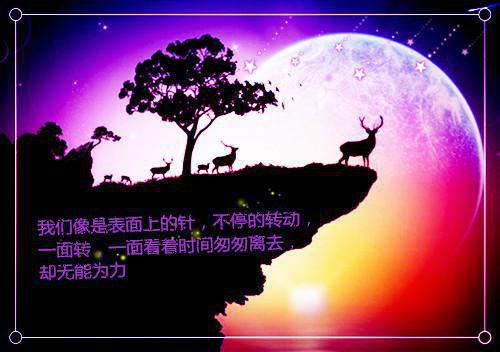 五行月下的山岁匿名小说_五行月下的山岁免费阅读