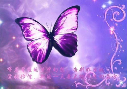 再见江依完结文全文(再见江依完结文)小说免费阅读无弹窗大结局_江依苏泽全文在线完整版阅读